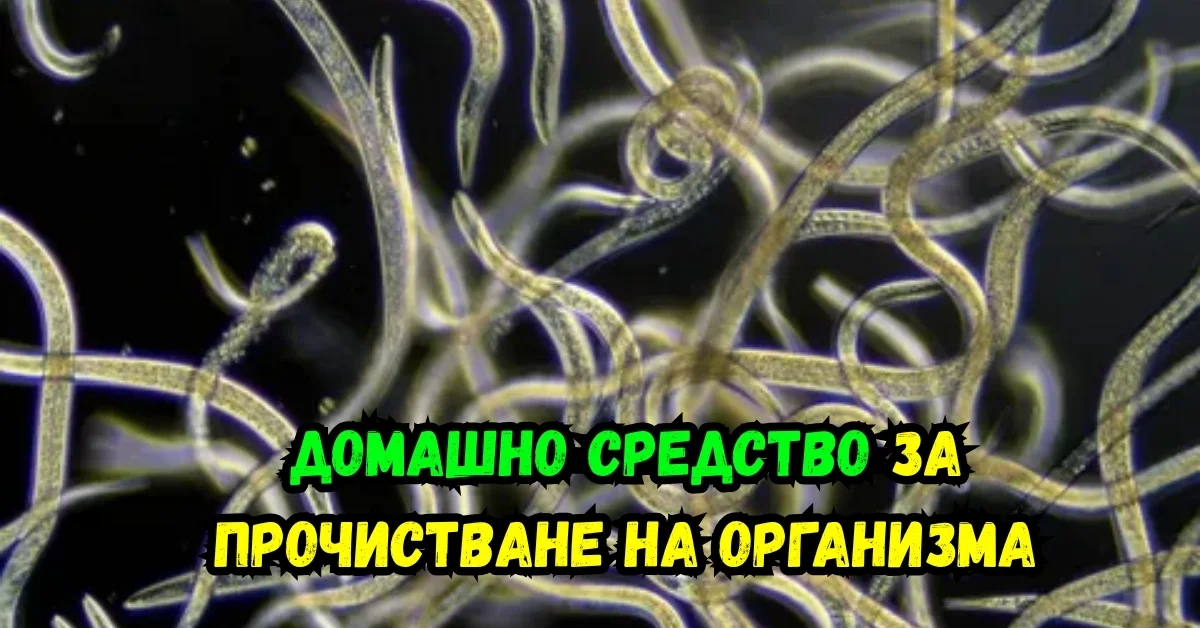 Каша от овес с плодове