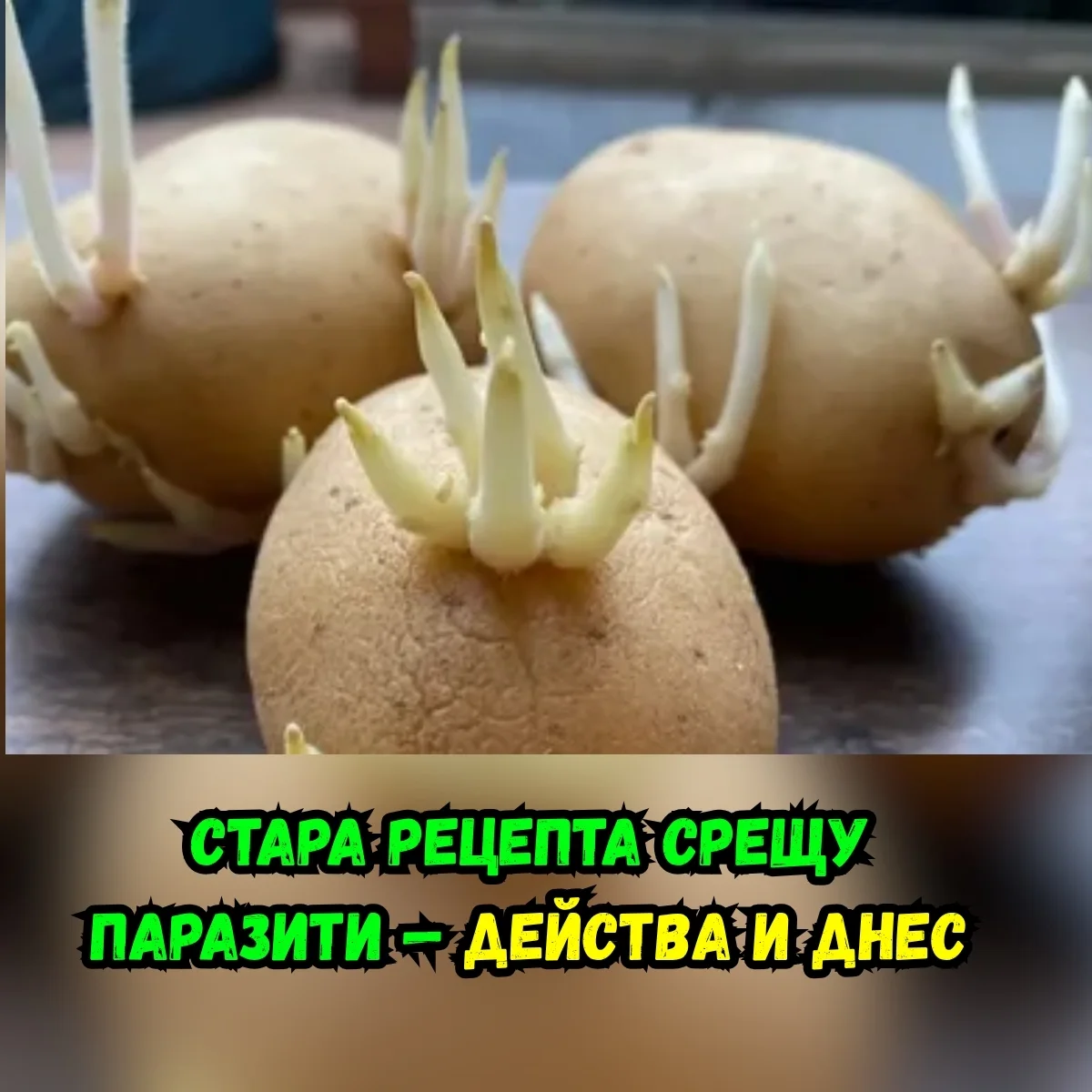 Гречка с авокадо