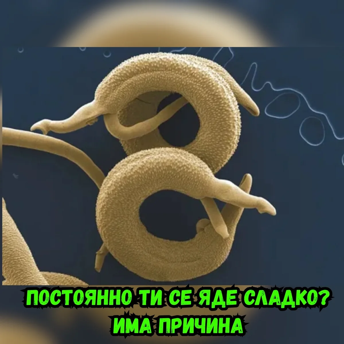 Йогурт с гранола